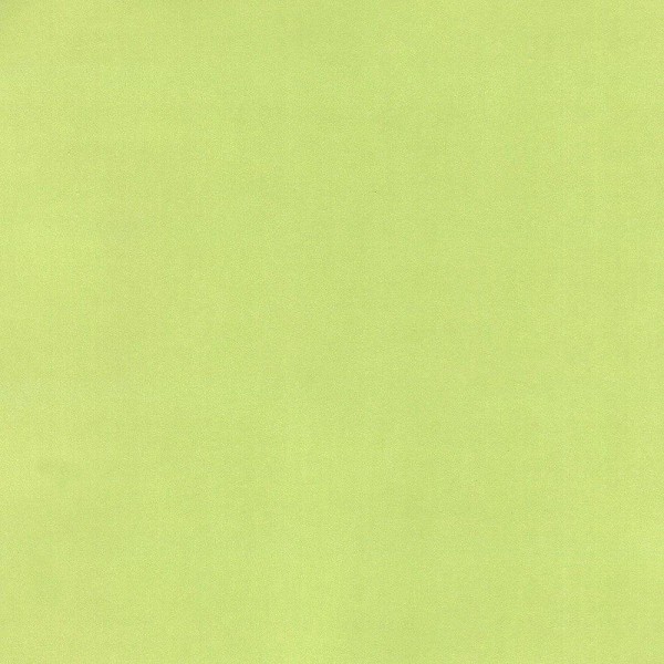 Hattan Palette | 65 Lime Green